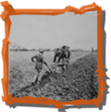 plowing